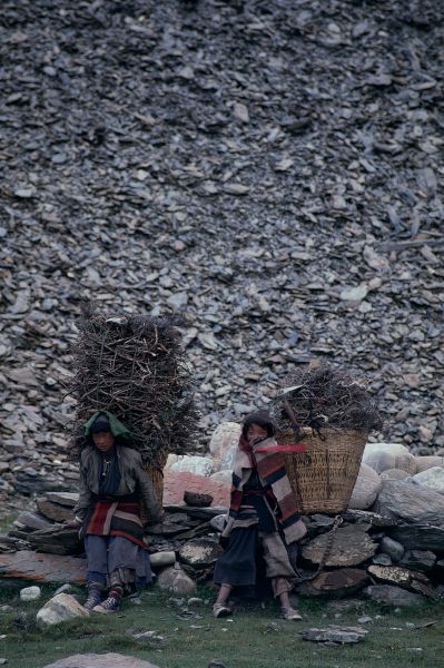 ネパール・ドルパno.0105