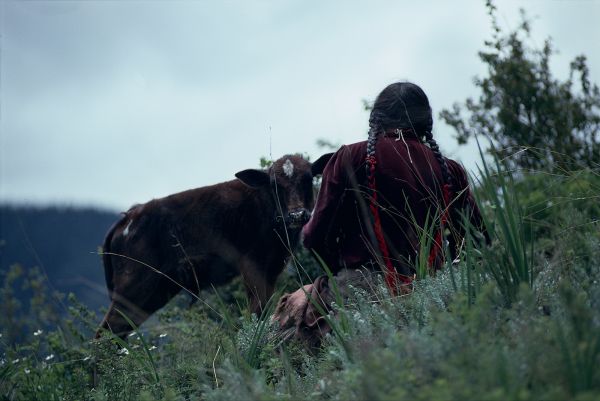 ネパール・ジュムラno.0006