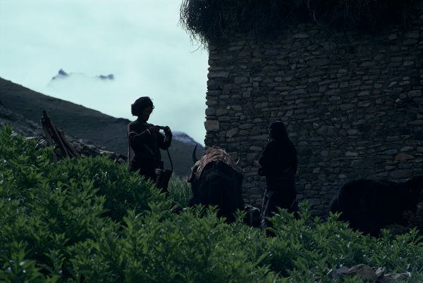 ネパール・ドルパno.0126