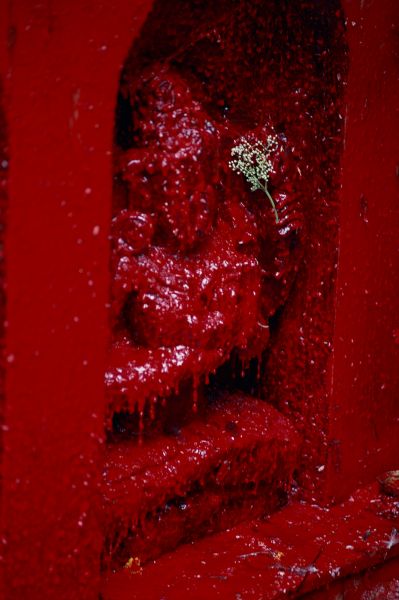 ネパール・カトマンドュウno.0004