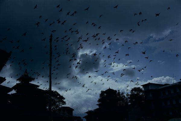 ネパール・カトマンドュウno.0010