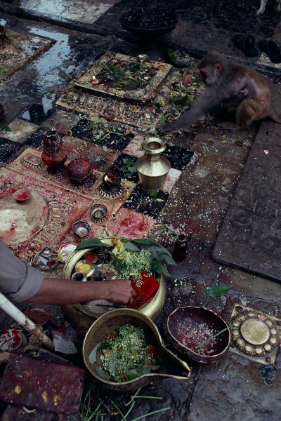 ネパール・カトマンドュウno.0013