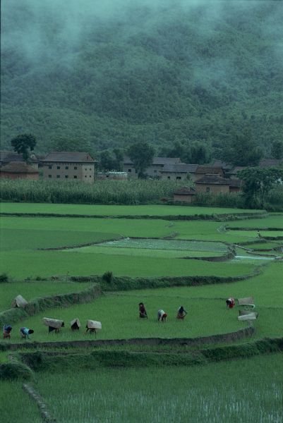 ネパール・カトマンドュウno.0024