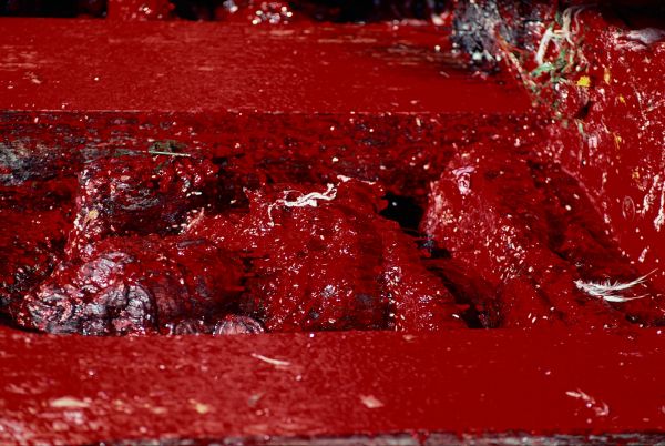 ネパール・カトマンドュウno.0028