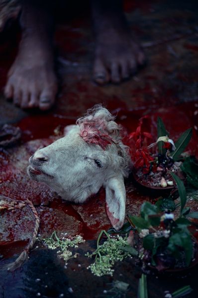 ネパール・カトマンドュウno.0032