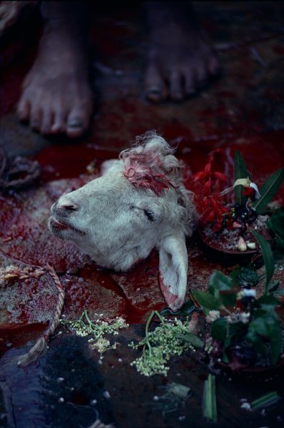 ネパール・カトマンドュウno.0045