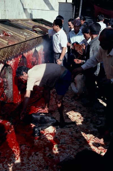 ネパール・カトマンドュウno.0084