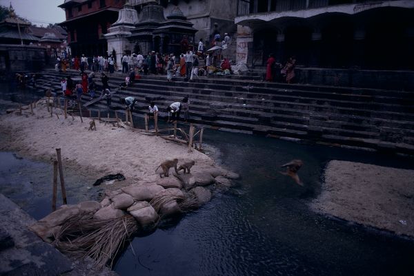 ネパール・カトマンドュウno.0094