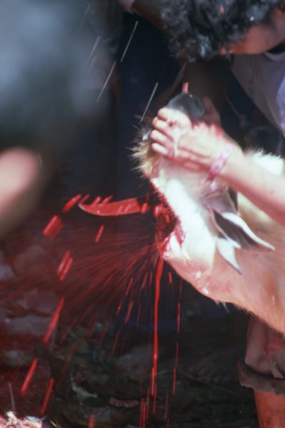 ネパール・カトマンドュウno.0098