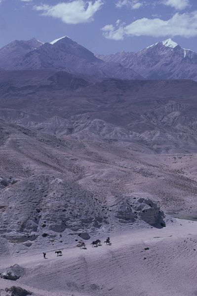 ネパール・ムスタンno.0072