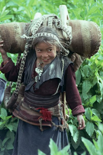 ネパール・ドルパno.0151