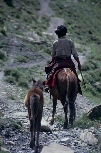 ネパール・ドルパno.0153