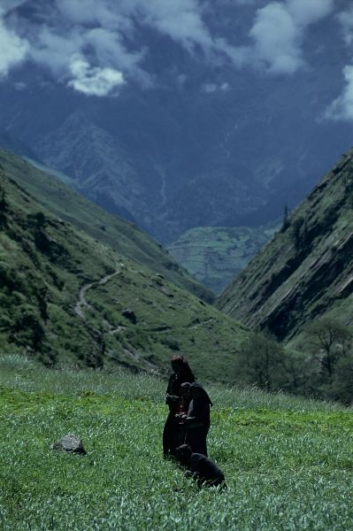 ネパール・ドルパno.0154