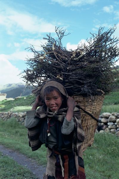 ネパール・ドルパno.0159