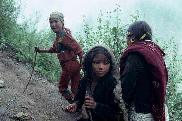 ネパール・ドルパno.0161