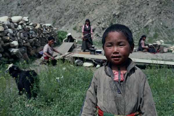 ネパール・ドルパno.0162